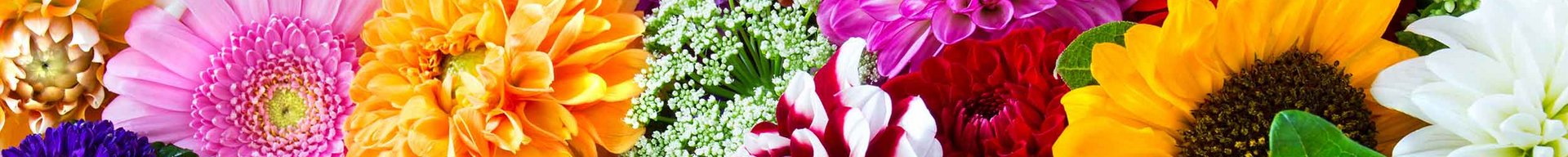 En farverig samling af forskellige blomster, herunder solhverv, dahliaer og krysantemummer, pryder et træbord. Blomsterne i nuancer af pink, orange, lilla og hvid skaber en livlig og festlig stemning. Grønne blade og stængler tilføjer et naturligt element til kompositionen.